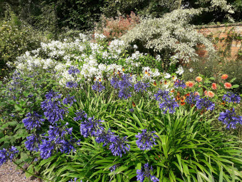 A flower border