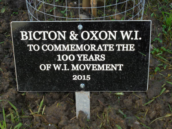 The commemorative plaque which was placed in front of the tree from the previous picture