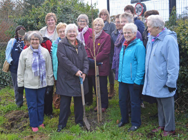14 of our members around the newly planted tree. Our president is holding a spade.